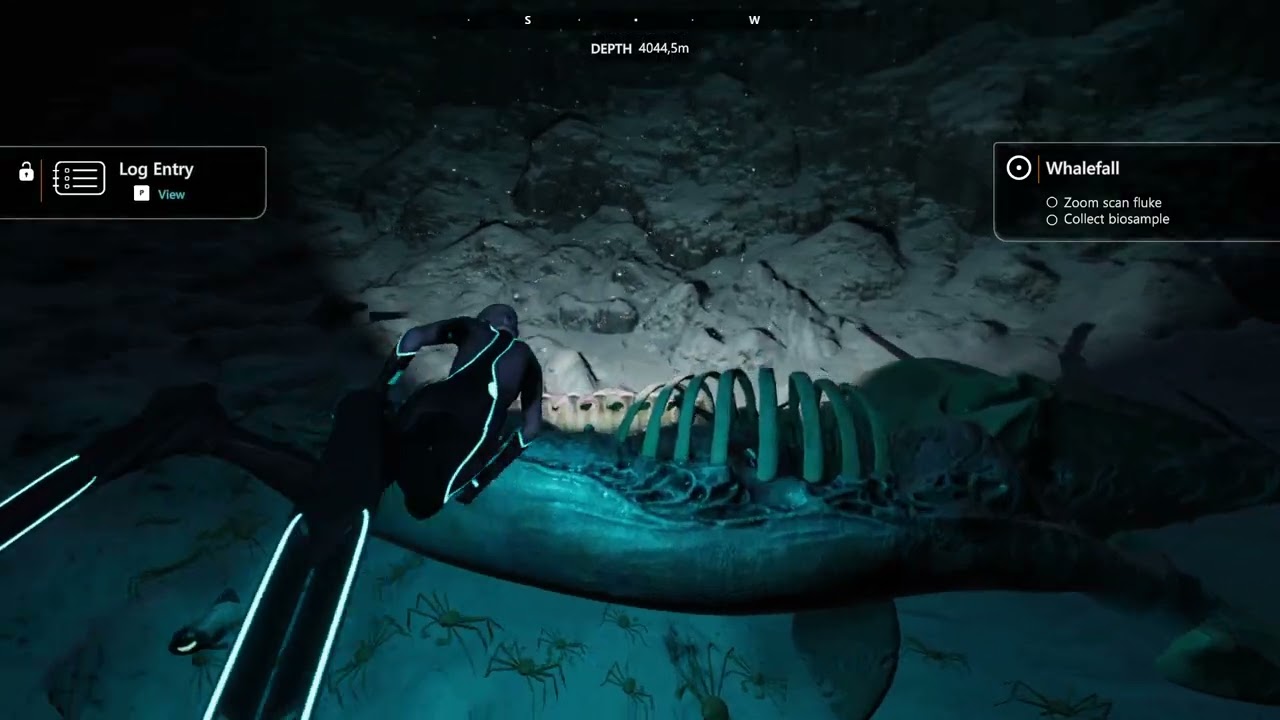 Beyond Blue #6 Dive