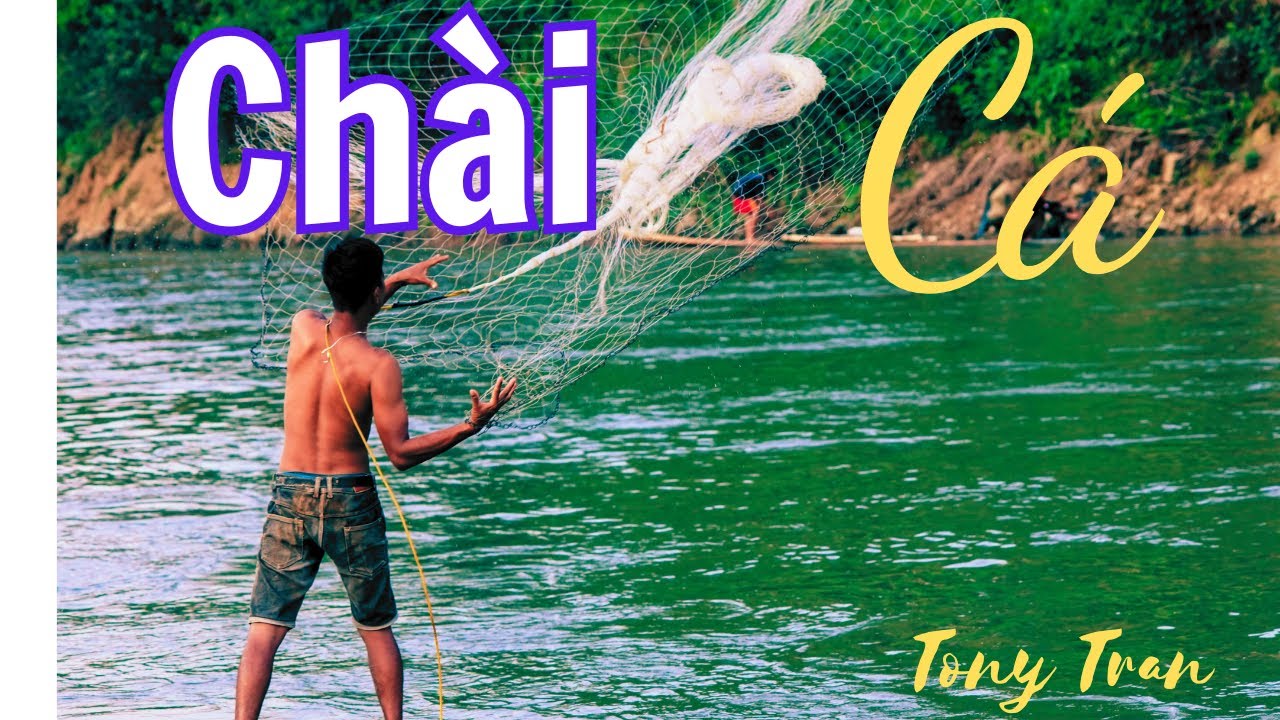 CHÀI CÁ TỚI TỐI XUỐNG LUÔN | hấp dẫn lôi cuốn | Tony Tran Vlogs