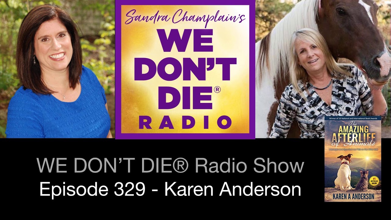 329  Karen Anderson - The Amazing Afterlife of Animals (from Police Officer to Animal Communicator)