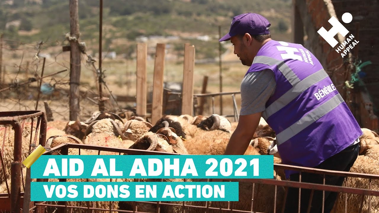 Retour sur vos dons de l'Aïd Al Adha | Human Appeal France