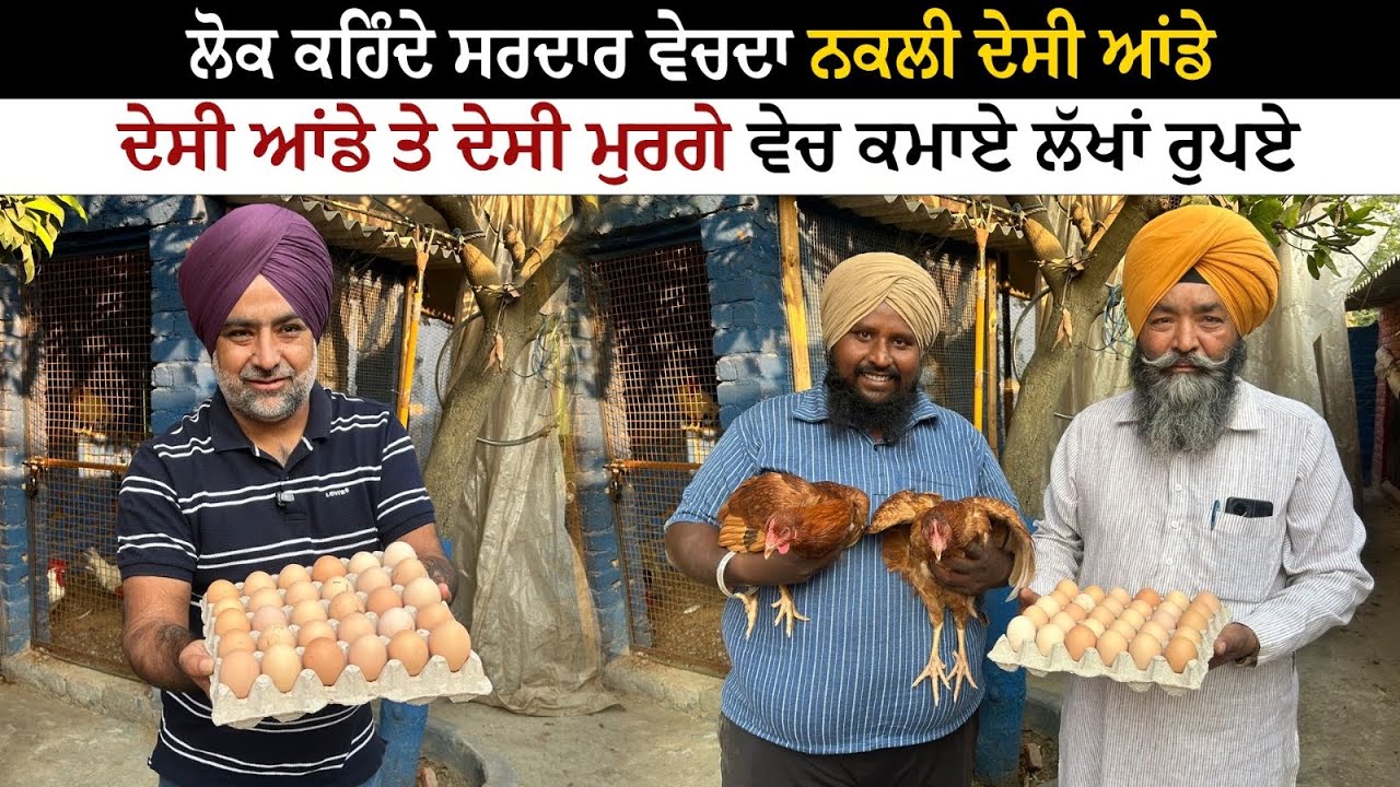 ਲੋਕ ਕਹਿੰਦੇ ਸਰਦਾਰ ਵੇਚਦਾ ਨਕਲੀ ਦੇਸੀ ਆਂਡੇ | Viral Desi Eggs Patiala | Pinda Vale Vlogger 