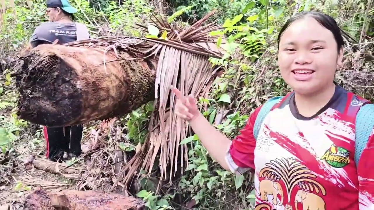 Ngambi buah mawang enggau buah dabai 