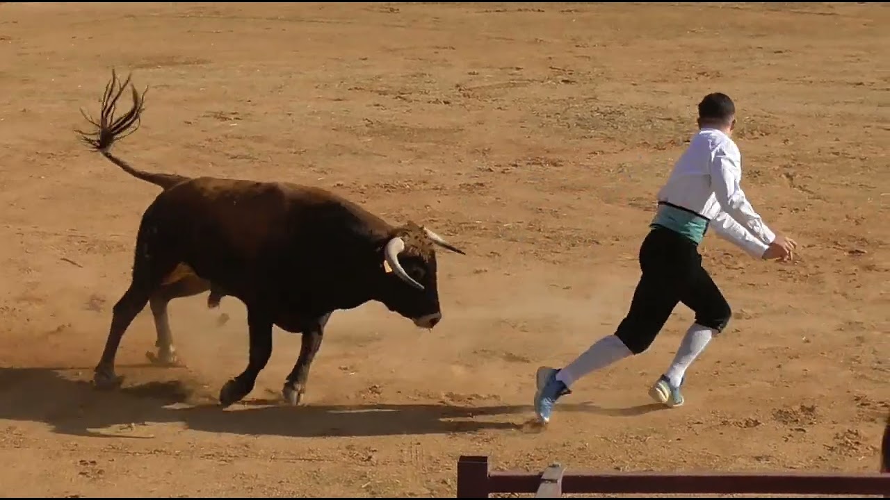 Villar de Olalla 2025