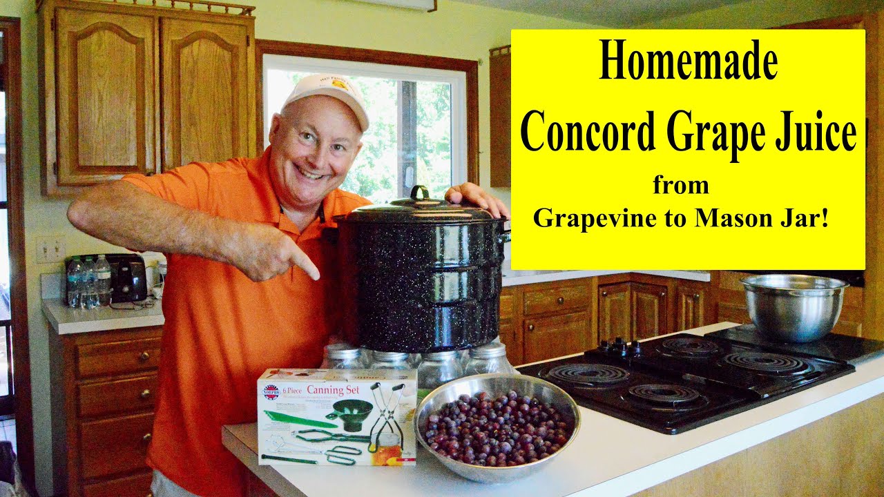 How to Can Concord Grape Juice 🍇 | From Vine to Mason Jar
