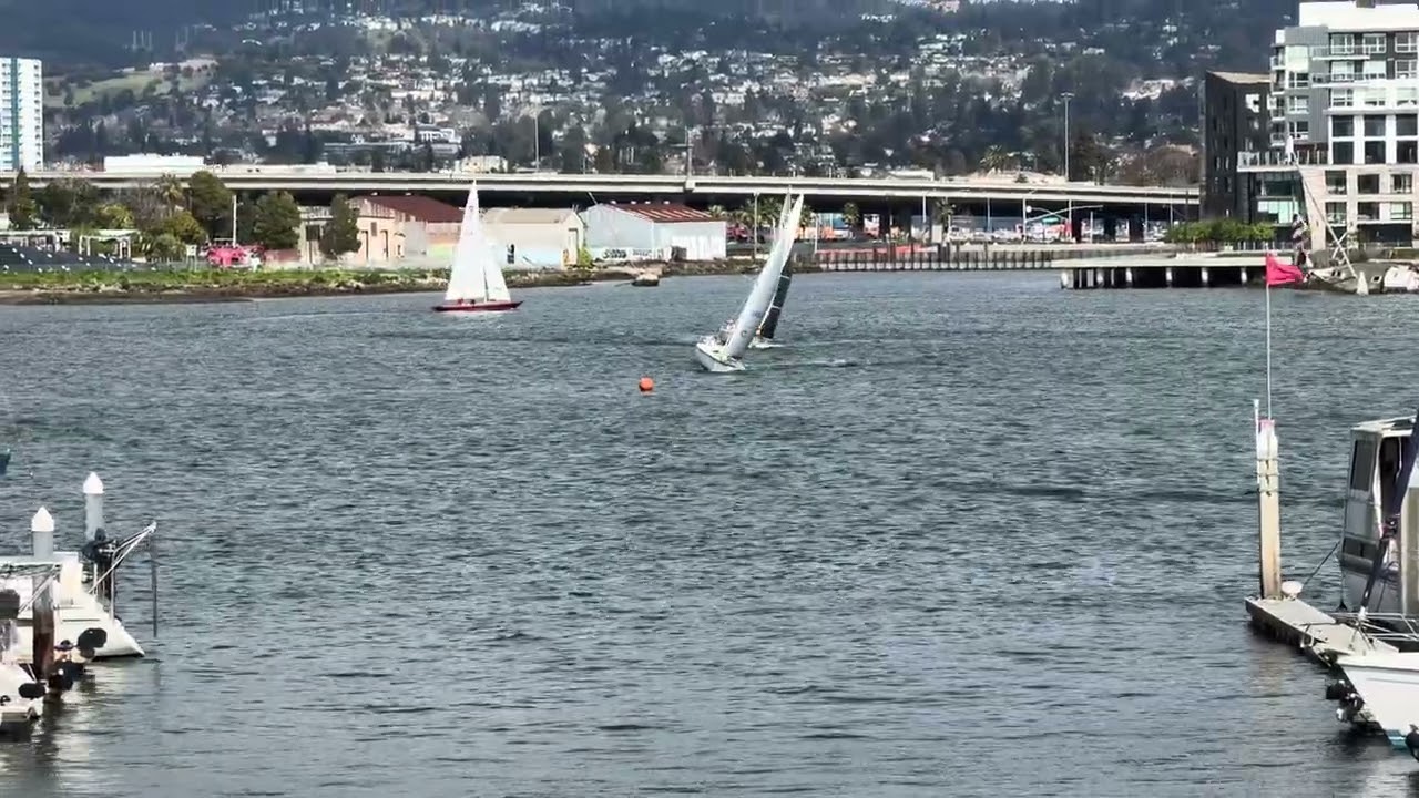 OYC 3-1-26 Brunch Race - Fleet C start (Santana 525)
