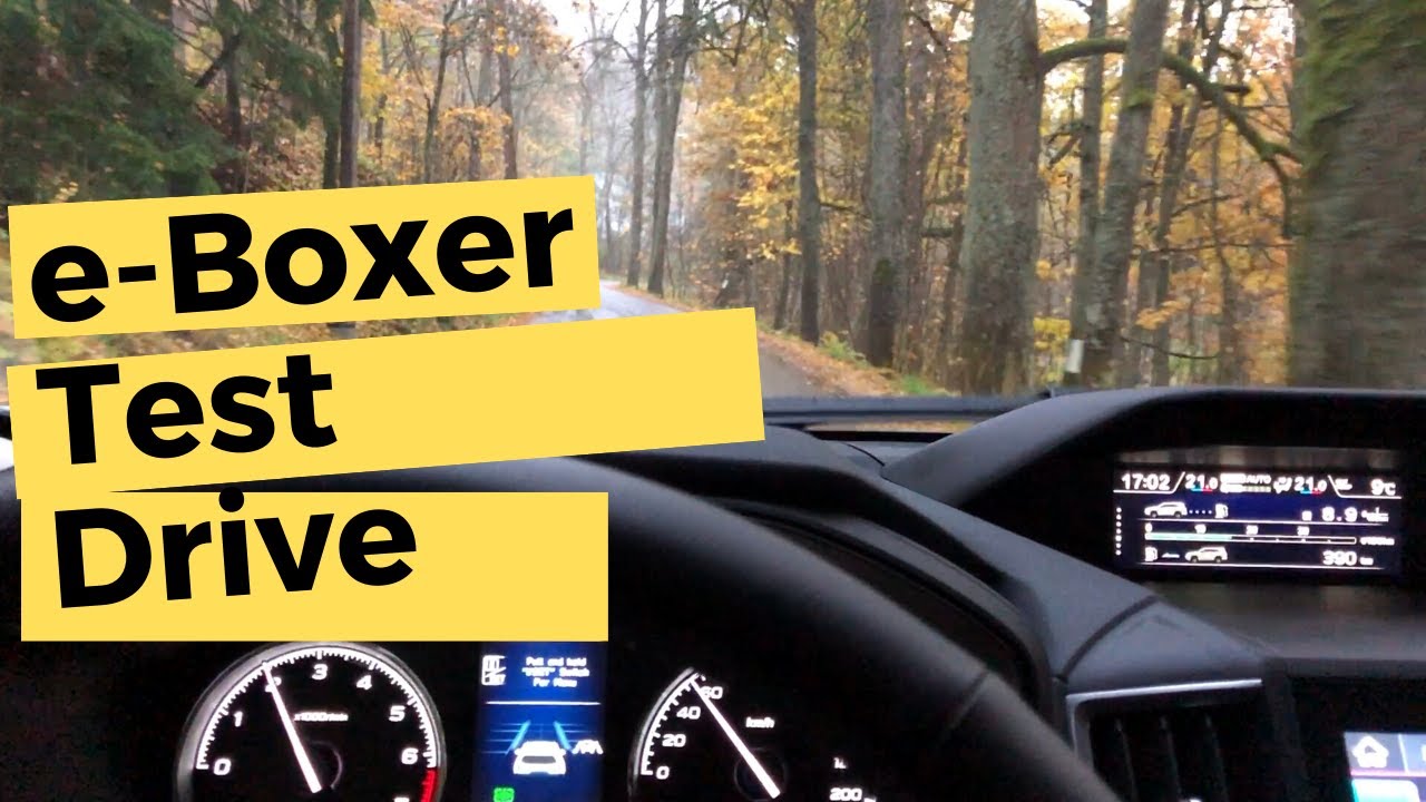 Subaru Forester 2020 e-BOXER: The first test drive - Car driving POV