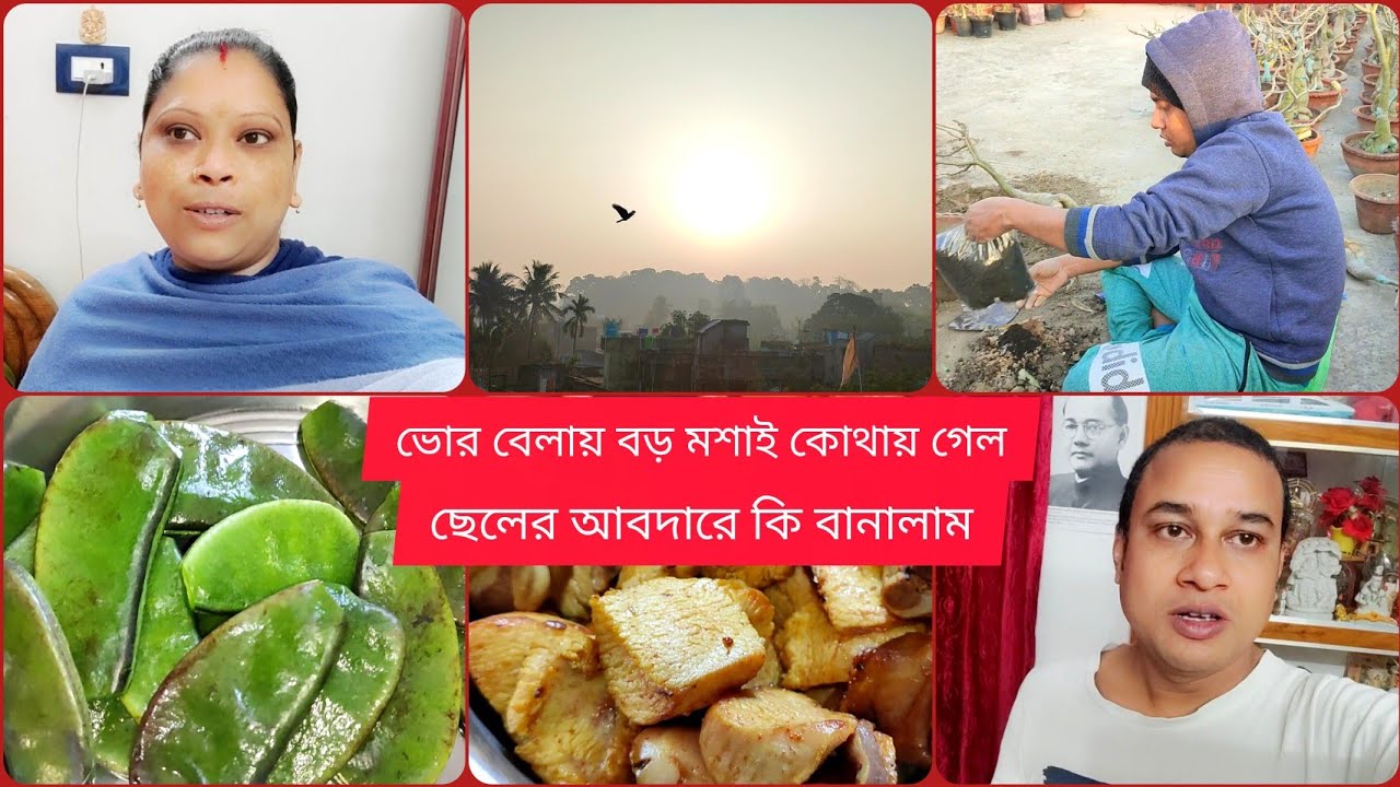 ছেলের আবদারে আজকে কি বানালাম || ভোরবেলায় বড় মশাই কোথায় গেল || #viral #viralvideo 
