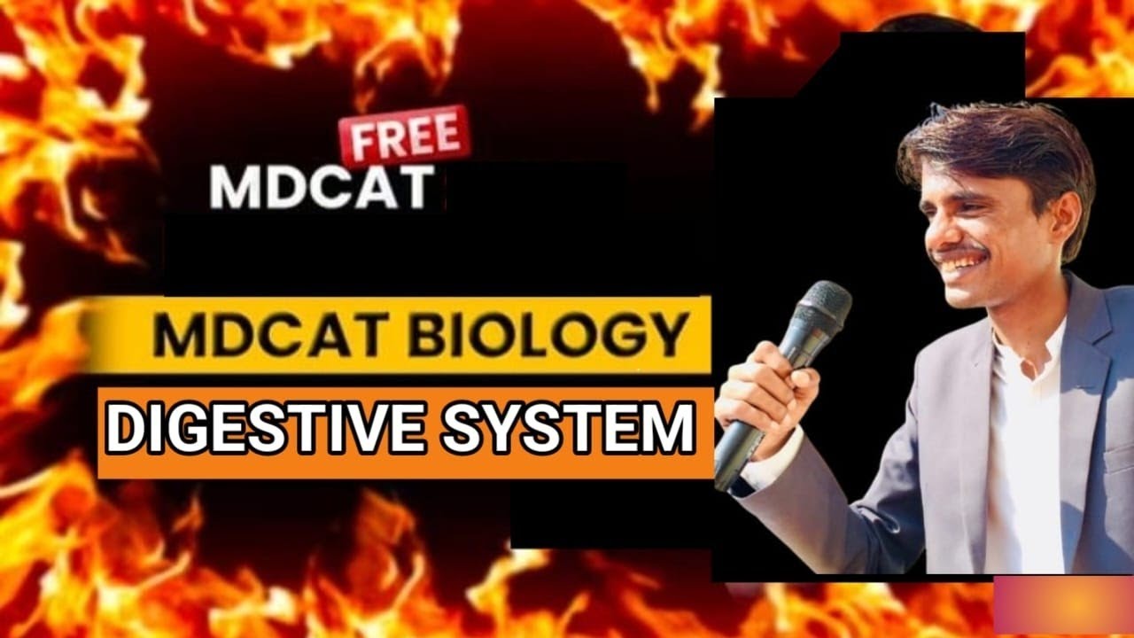 What is Digestion? And its step for MDCAT preparation 2026