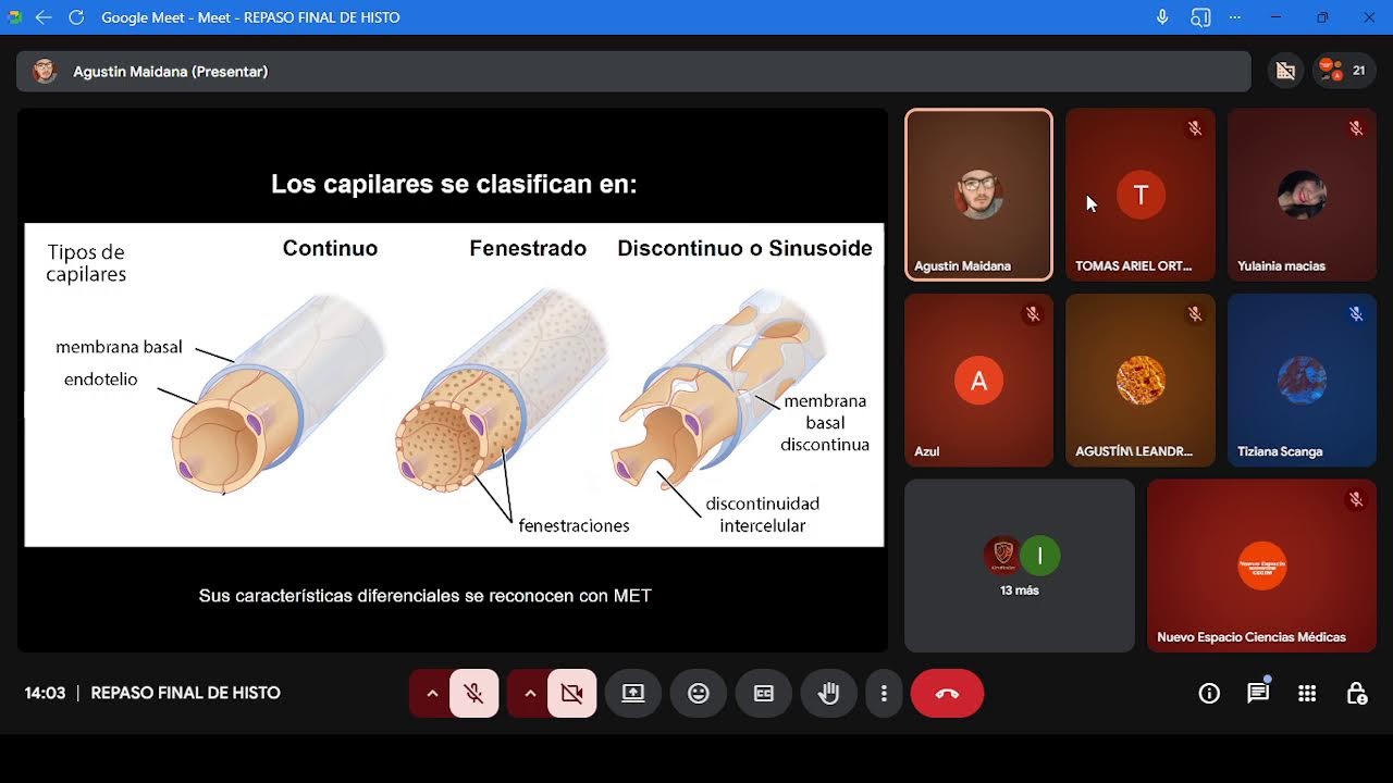 REPASO FINAL-HISTOLOGÍA