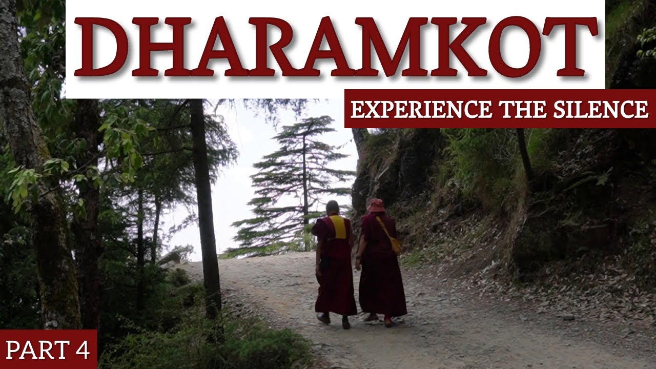 EXPERIENCE THE SILENCE OF NATURE | FREE MEDITATION FOR ALL |  TUSHITA MEDITATION CENTRE | DHARAMKOT