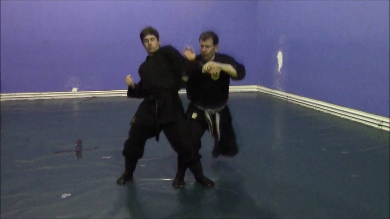 Gyokushin Ryu 2016