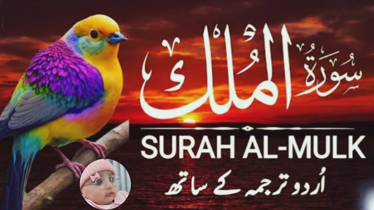✨ Surah Al-Mulk | Lafz ba Lafz Tarjuma | Imaan Afroz Tilawat 🕊️📖 | Episode 032  |