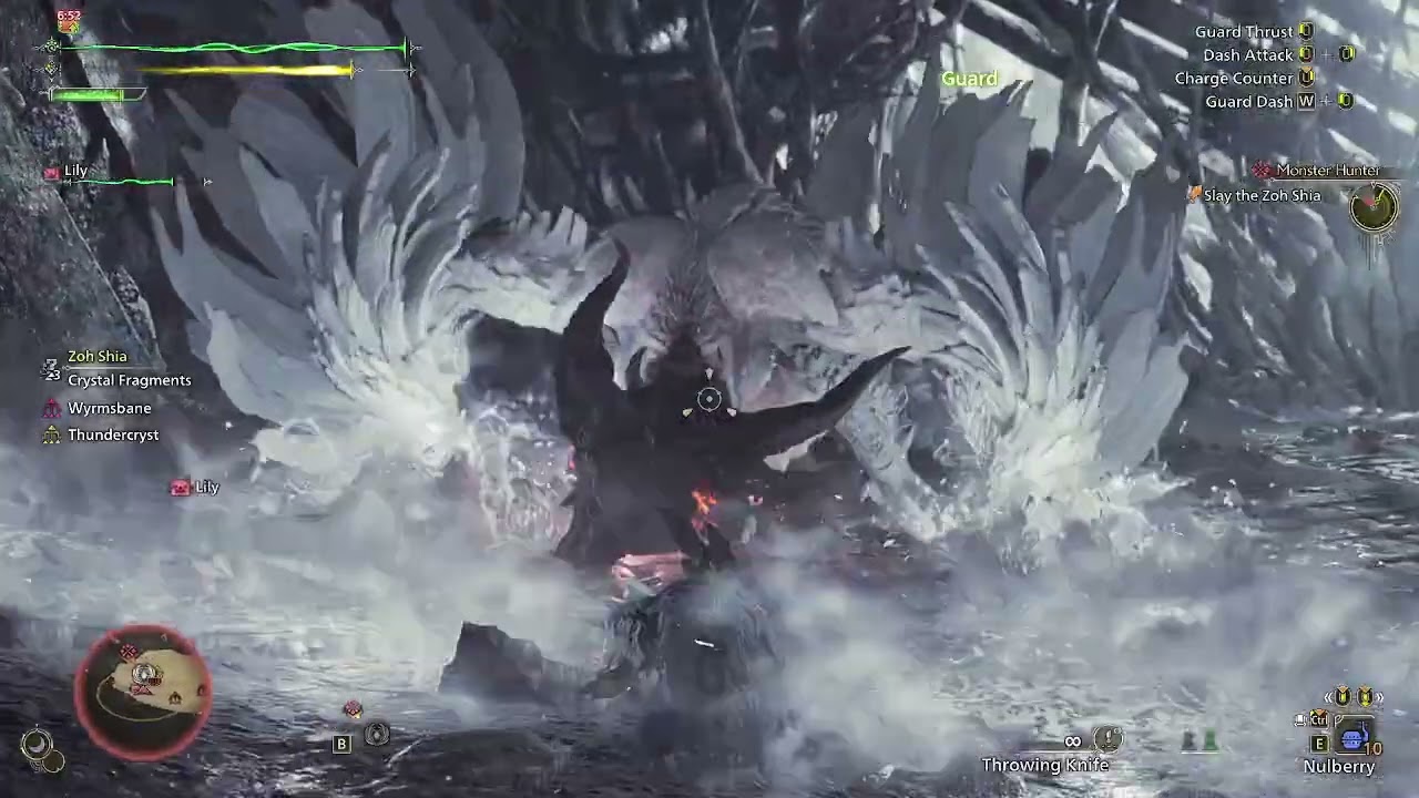 |Monster Hunter Wilds| Zoh Shia - Final Boss Fight