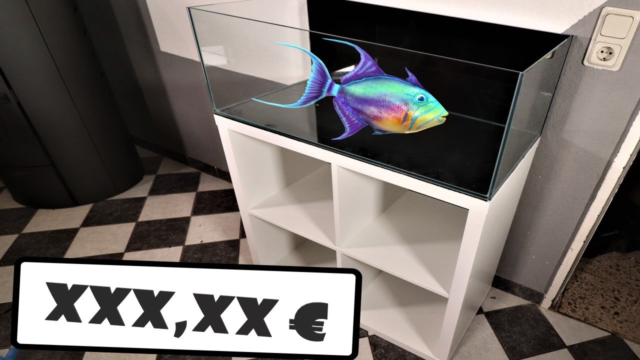 Meerwasser Low Budget Kallax Projekt - Kallax Unterschrank und Aquarium von 