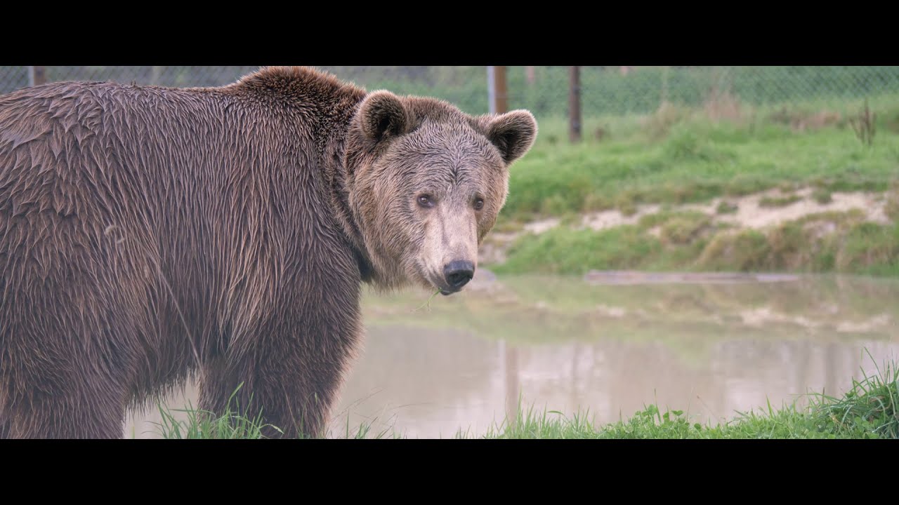Legendia Parc - bande annonce saison 2021