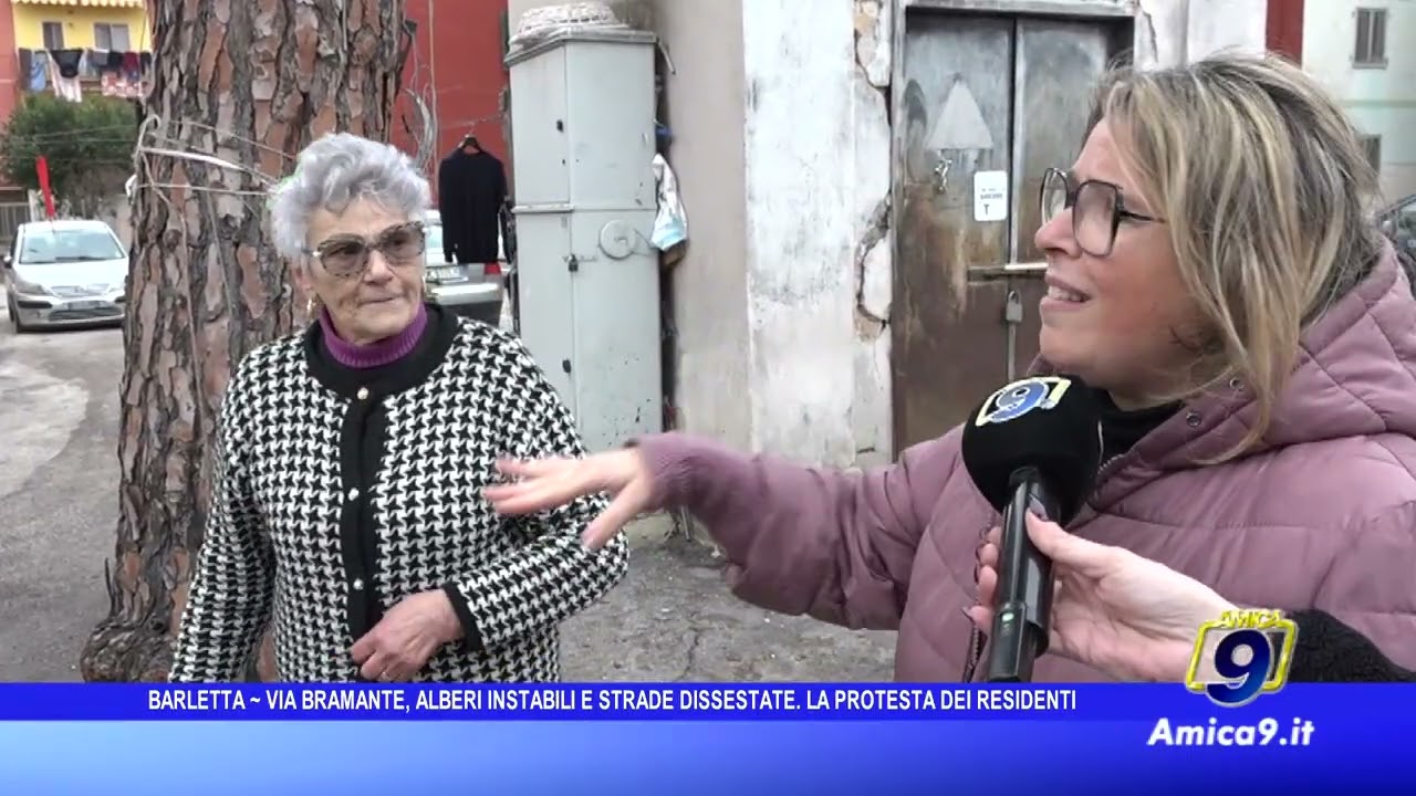 Barletta - Sos da via Bramante, alberi instabili e strade dissestate