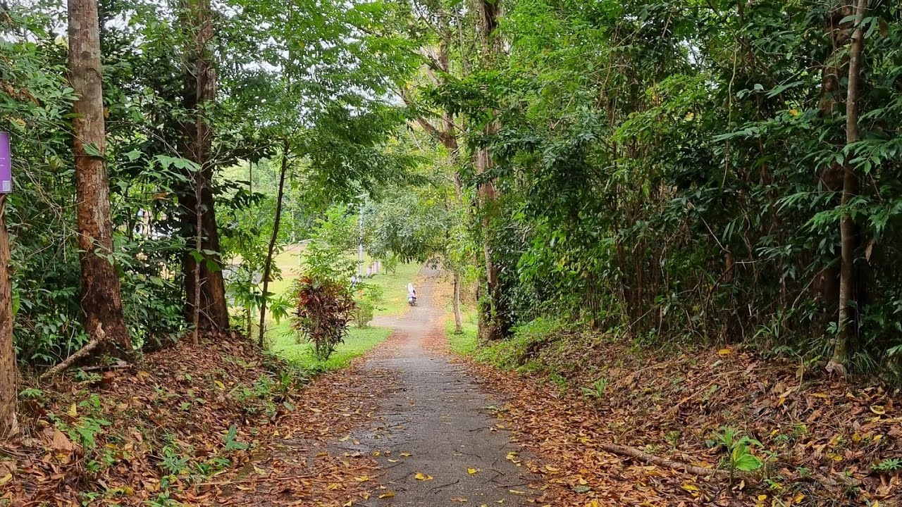 TAYLAND Koh Payam Adasından Ko Chang'a geçtik. Yollarda geçen bir ada videosu. 