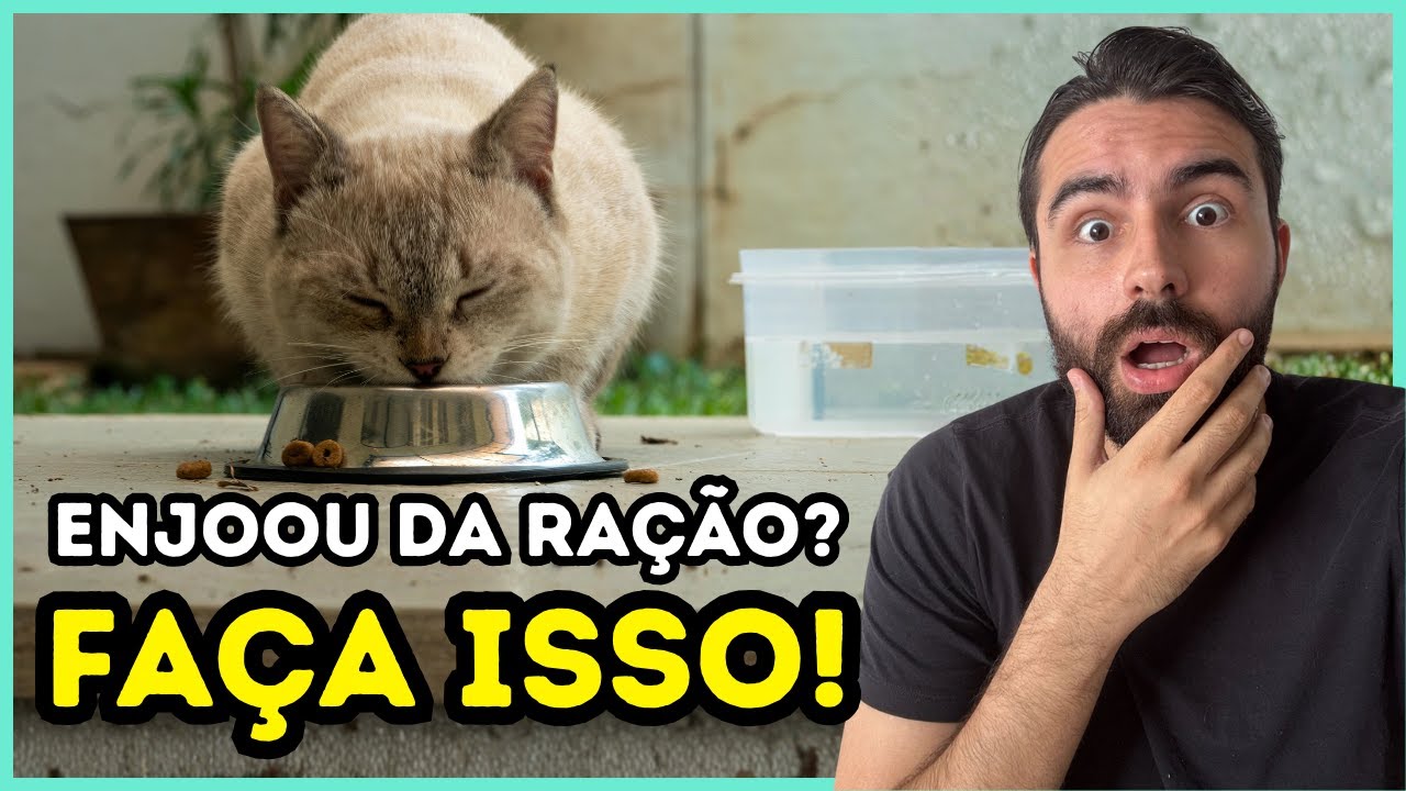 Se o Seu Gato ENJOAR Da Ração, Faça ISSO e Ele Vai Voltar a Comer!