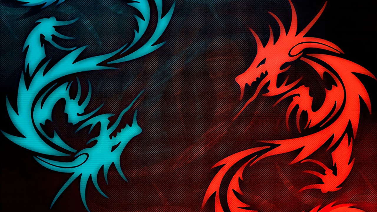 Hollow Knight Randomizer Race AGAIN (ft. @Christfm)