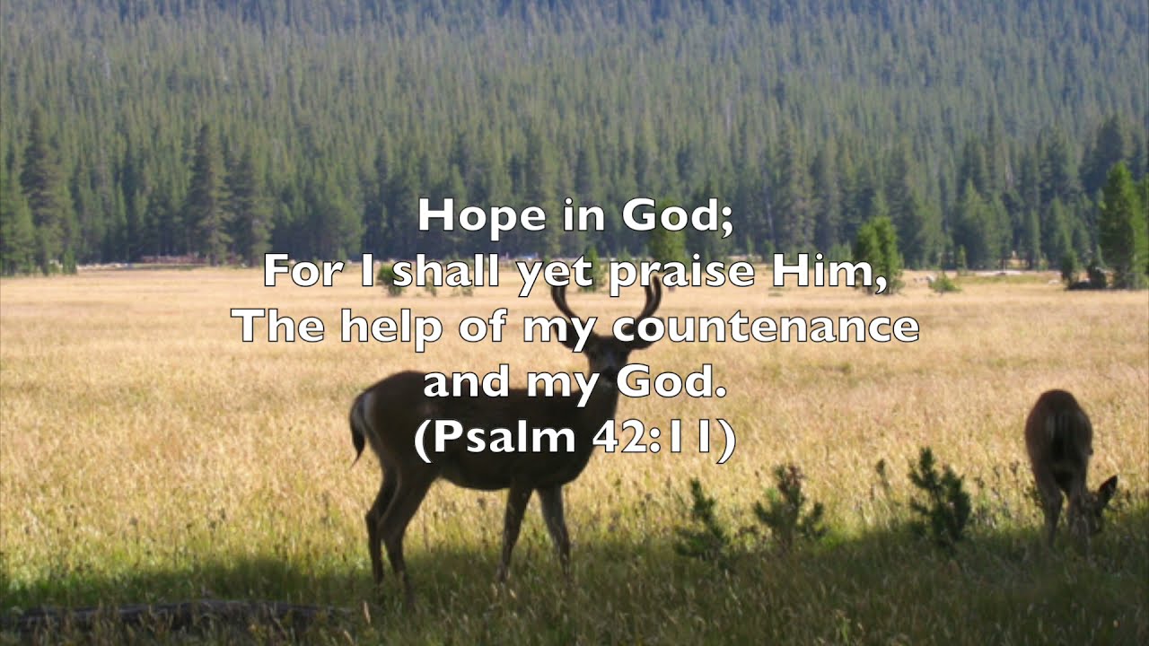 As The Deer by Maranatha! Music (with Lyrics)