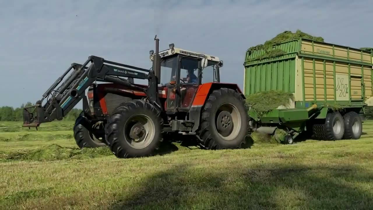 ☆Zbiór traw 2021☆Podlasie. Nowe Nabytki w akcji! ZTS16245 & KRONE XXL
