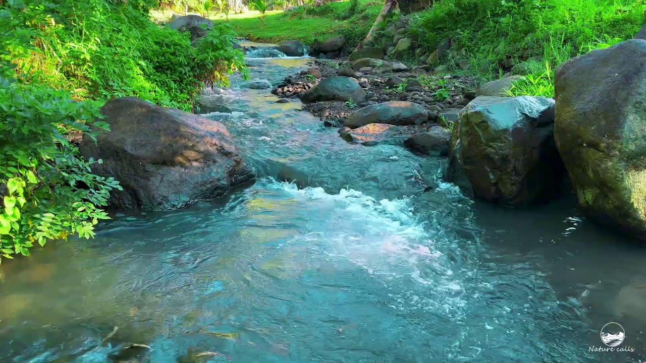 Tranquil River Ambience 24/7 | Soothing Nature Sounds for Meditation, Study & Stress Recovery