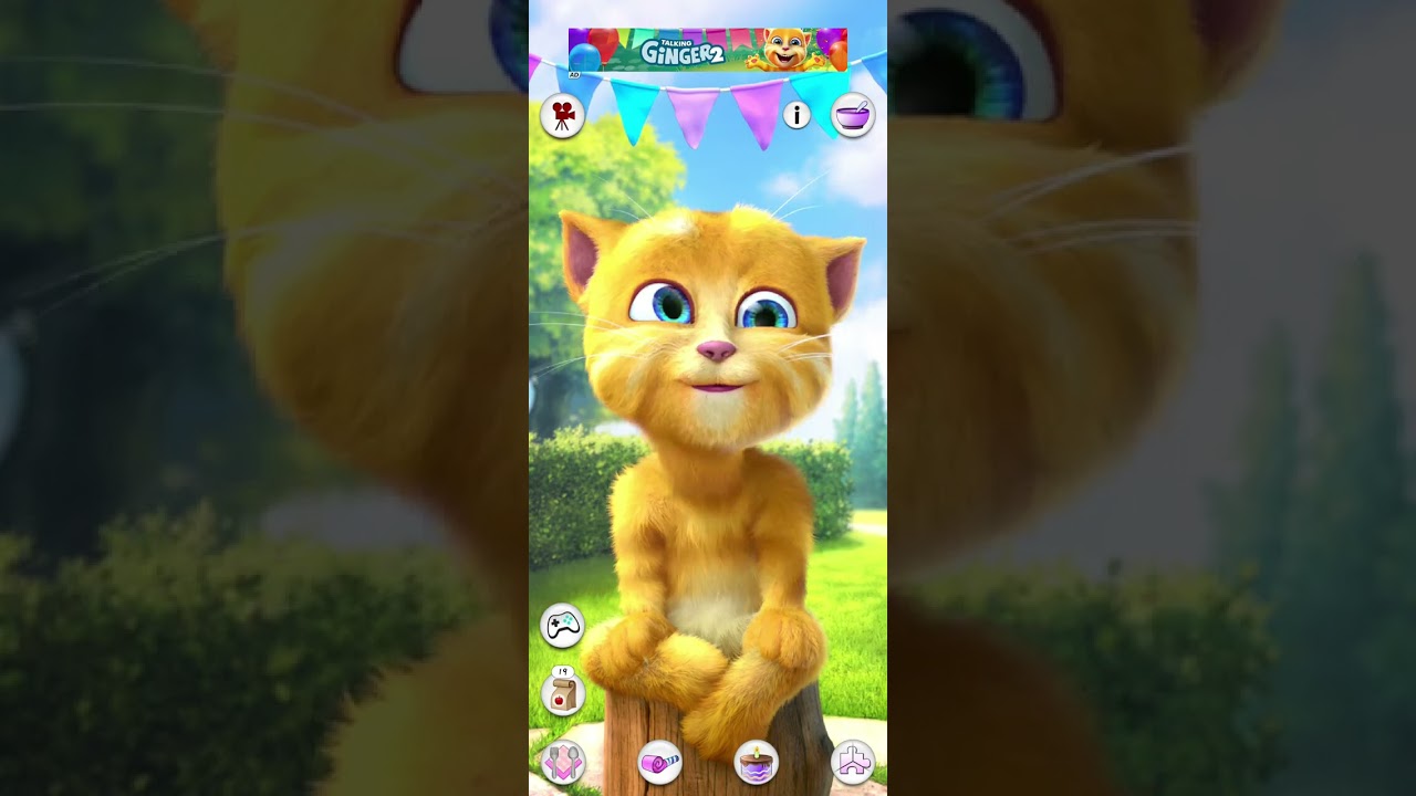 Talking Ginger Funny Videos 