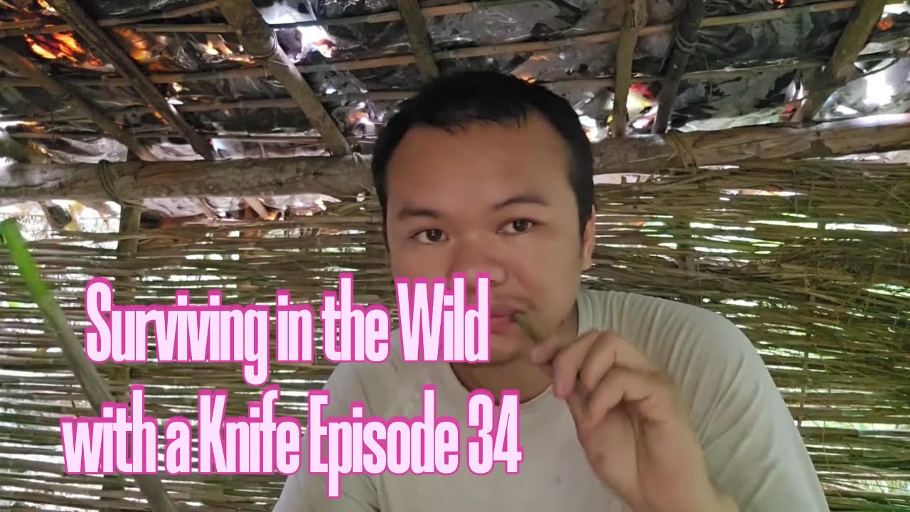 Surviving in the Wild with Only a Knife | Episode 34: Perfect Dried Fish at Last!