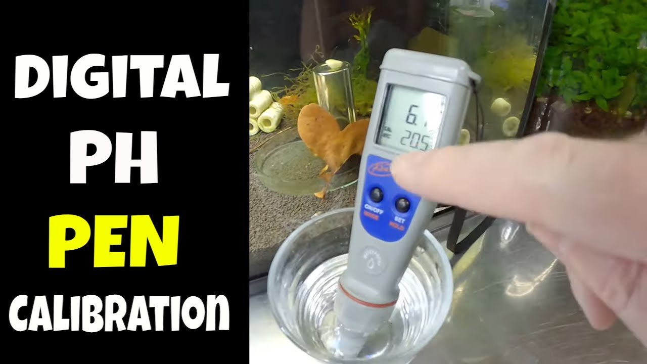 How To Calibrate AD-12 pH Meter (2-Point)