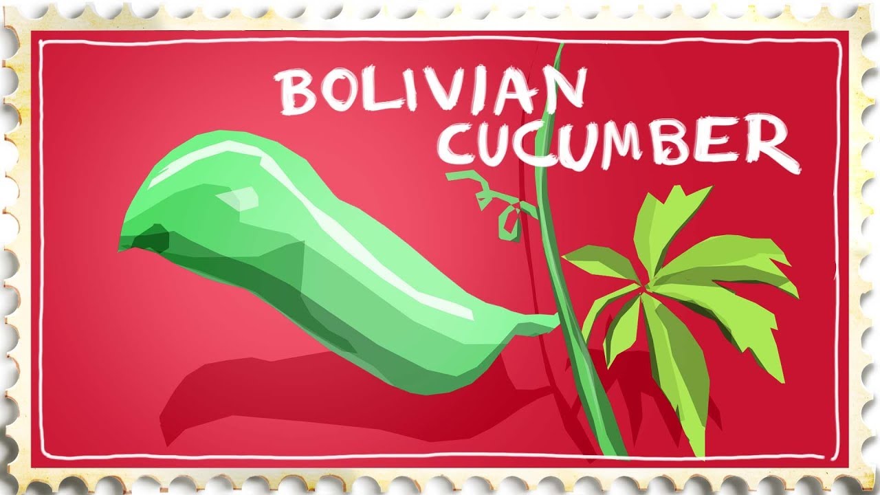 My Garden's Wildest Bolivian Pickle