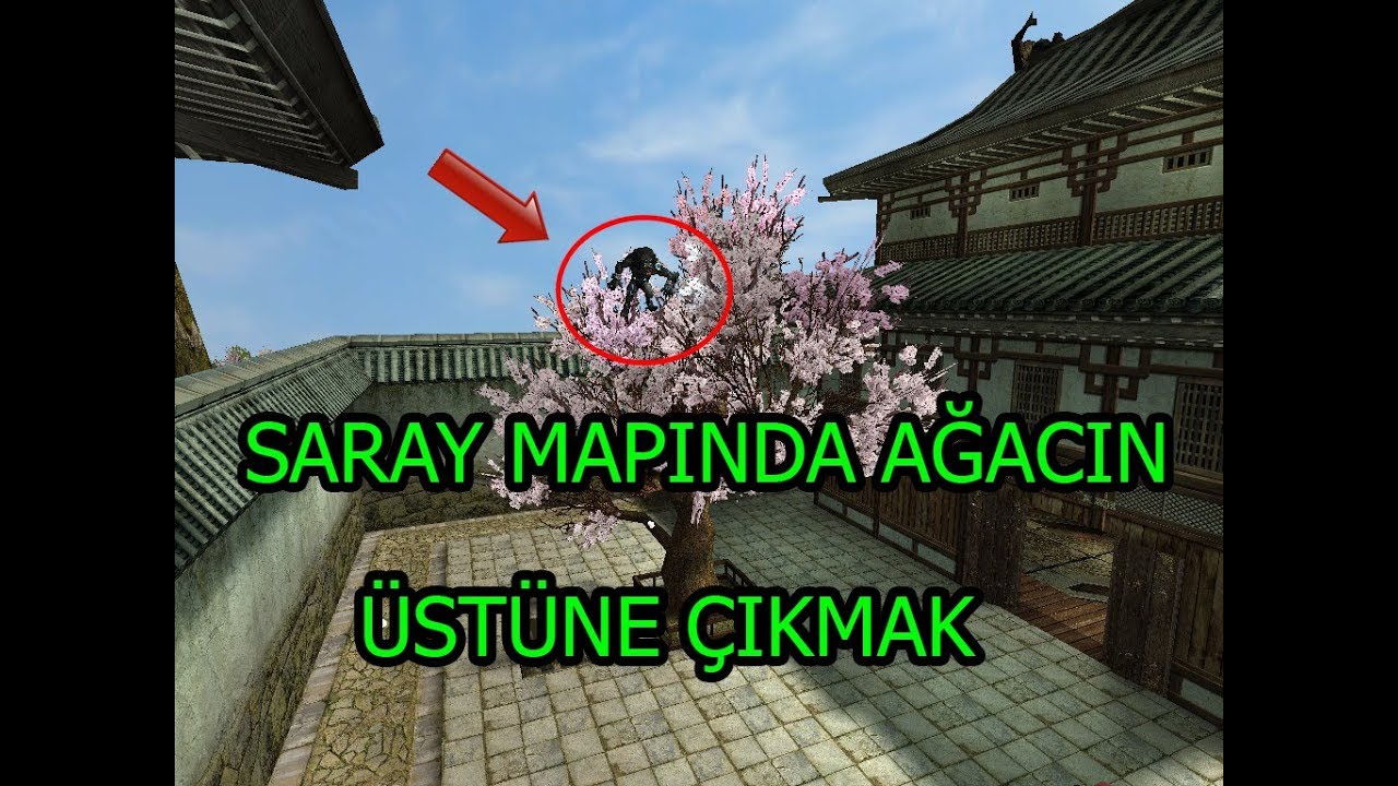 Saray Mapında Ağacın Üstüne Çıkmak ??