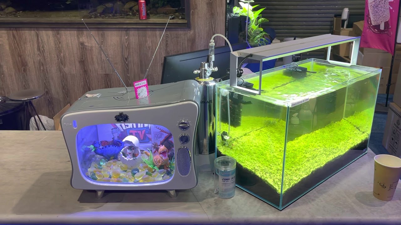 Seen Fish Tank TV?