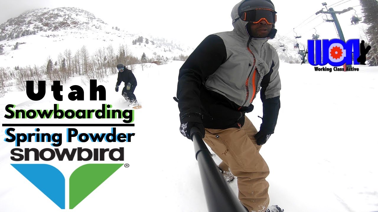 Snowboarding Snowbird Resort With Dan From Bored Progression