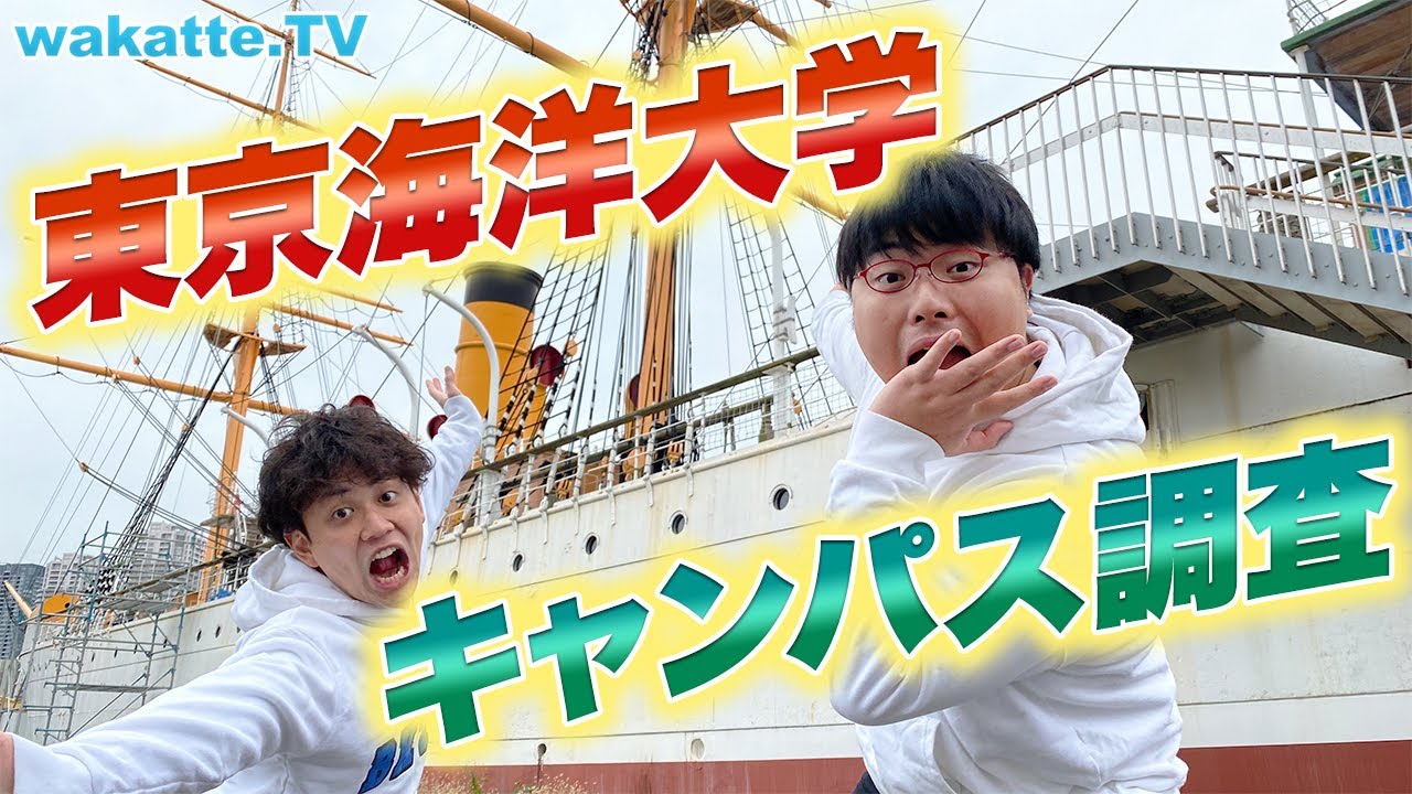 学歴厨だらけ？東京海洋大学キャンパス調査！【wakatte.TV】