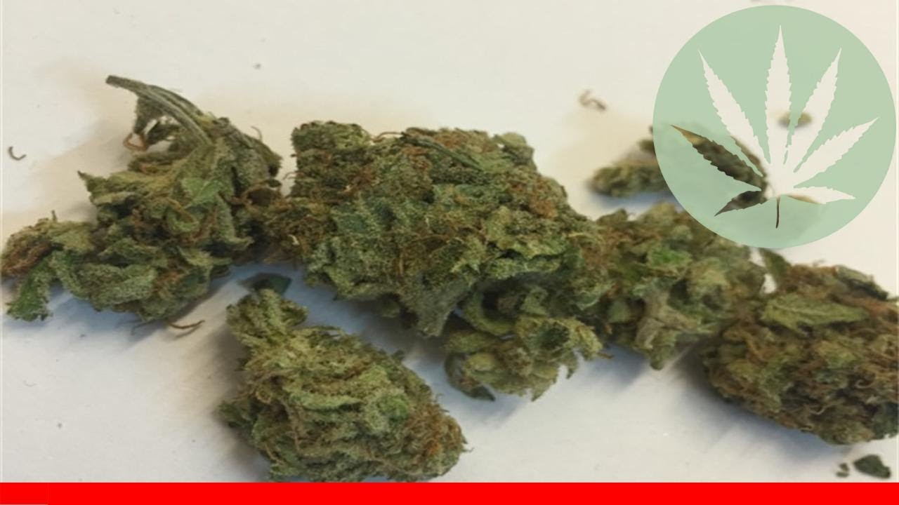 White Kryptonite - All About This Strain