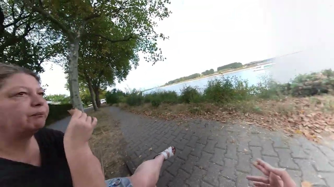 In Baerl am Rhein und Grillen 2022 08 16