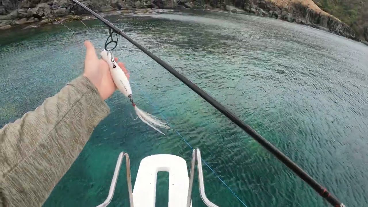 Surf and Boat FISHING in the CARIBBEAN!!!  (WE FOUND A BIG ONE)