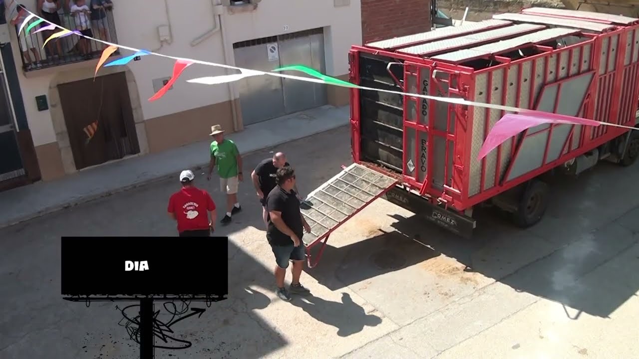 SARDINETA I ENTRADES DE BOUS FESTES DE TÍRIG 2025