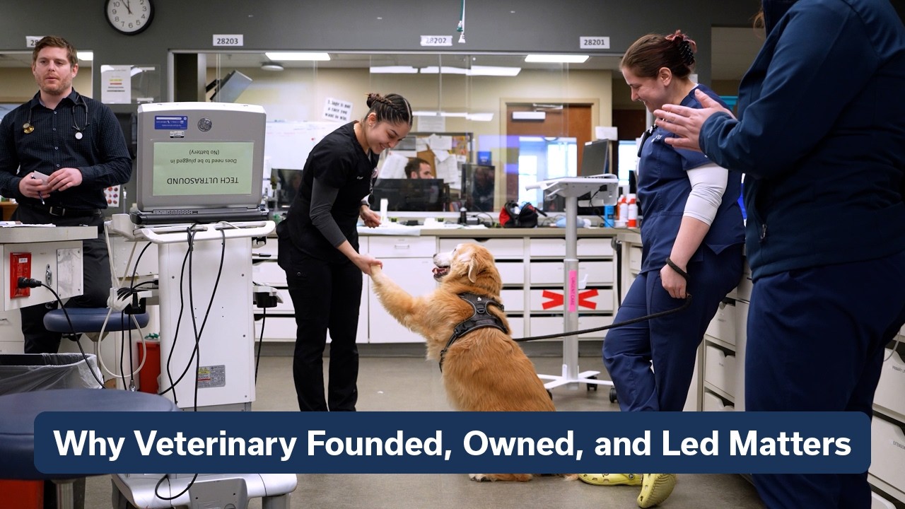 Why Veterinarian Founded, Owned, and Led Matters | MedVet
