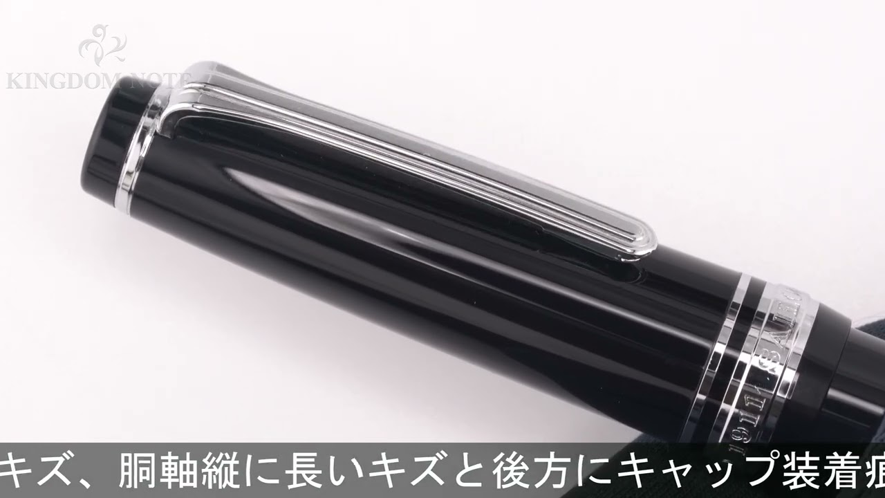 SAILOR セーラー 万年筆 プロフェッショナルギア スリム 銀 ブラック 細字
