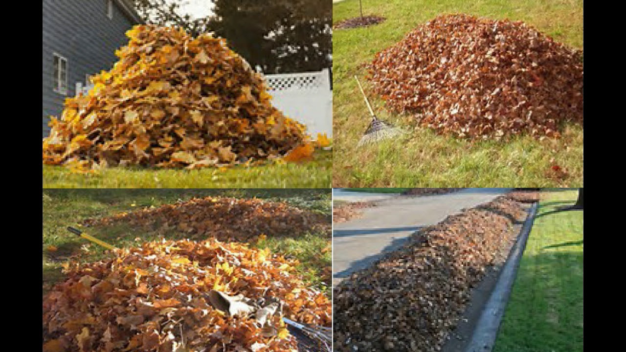 How to Rake, Blow & Bag Leaves Fast and Easy