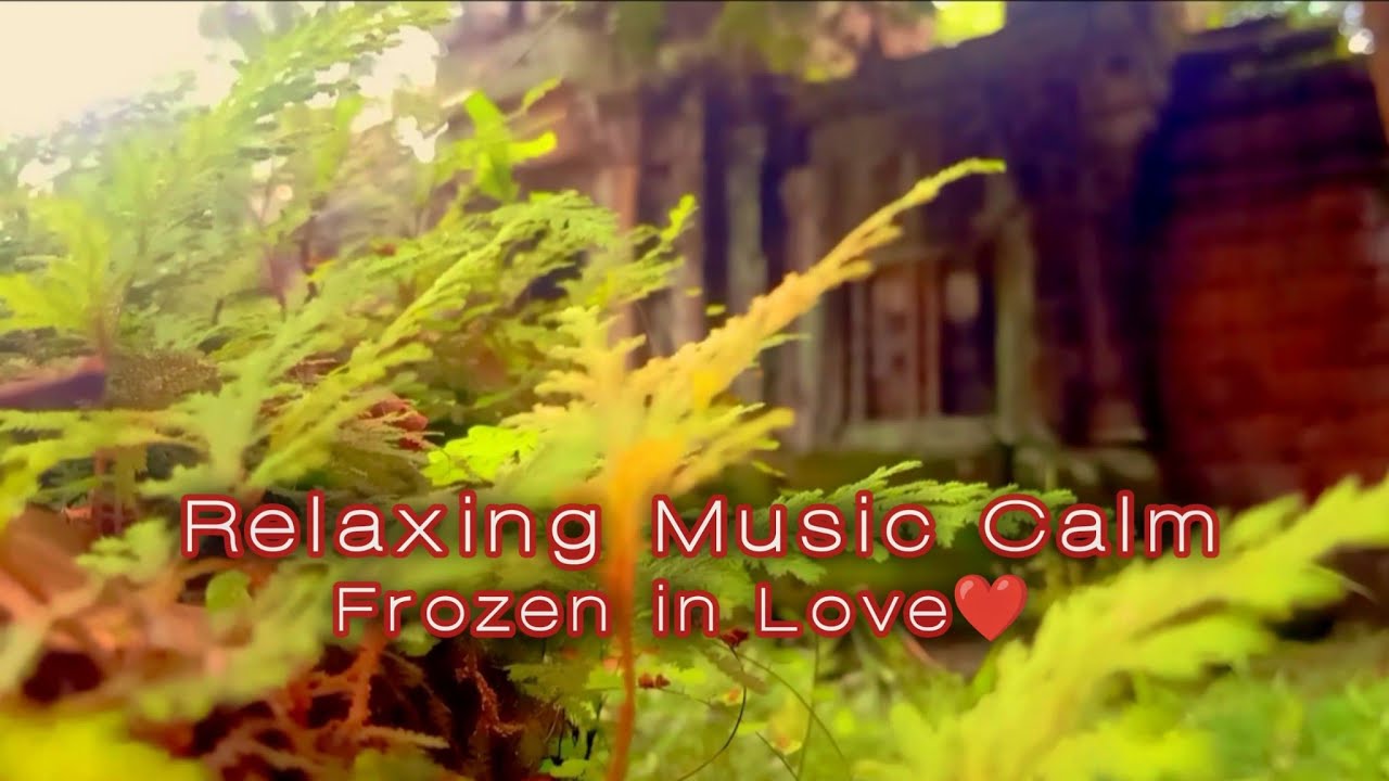 Relaxing music Calm with Lovely nature
