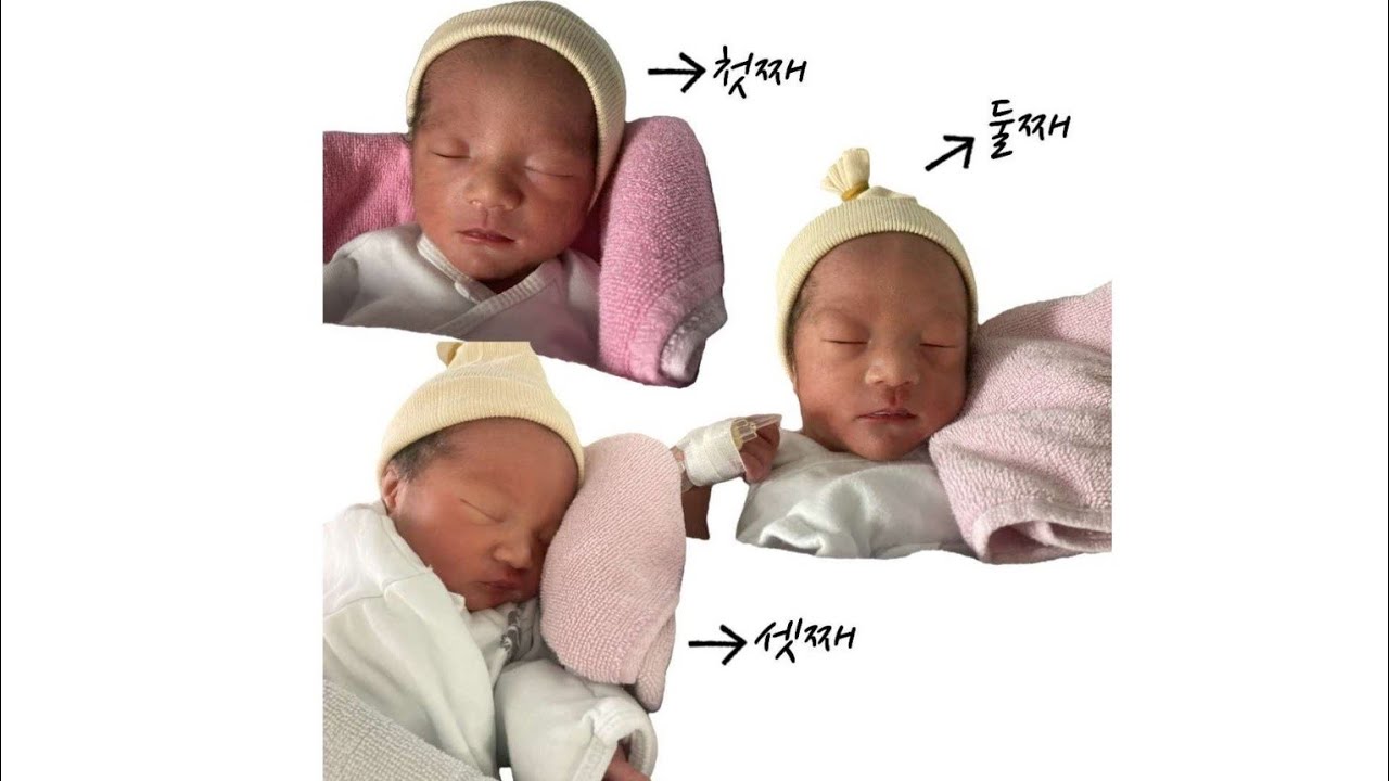 여수에 3쌍둥이가 찾아왔어요!!!