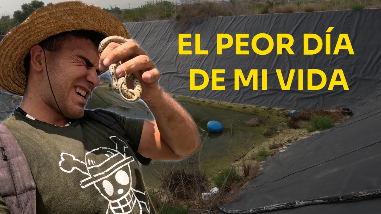 El lado Oscuro de los Rescates de Animales