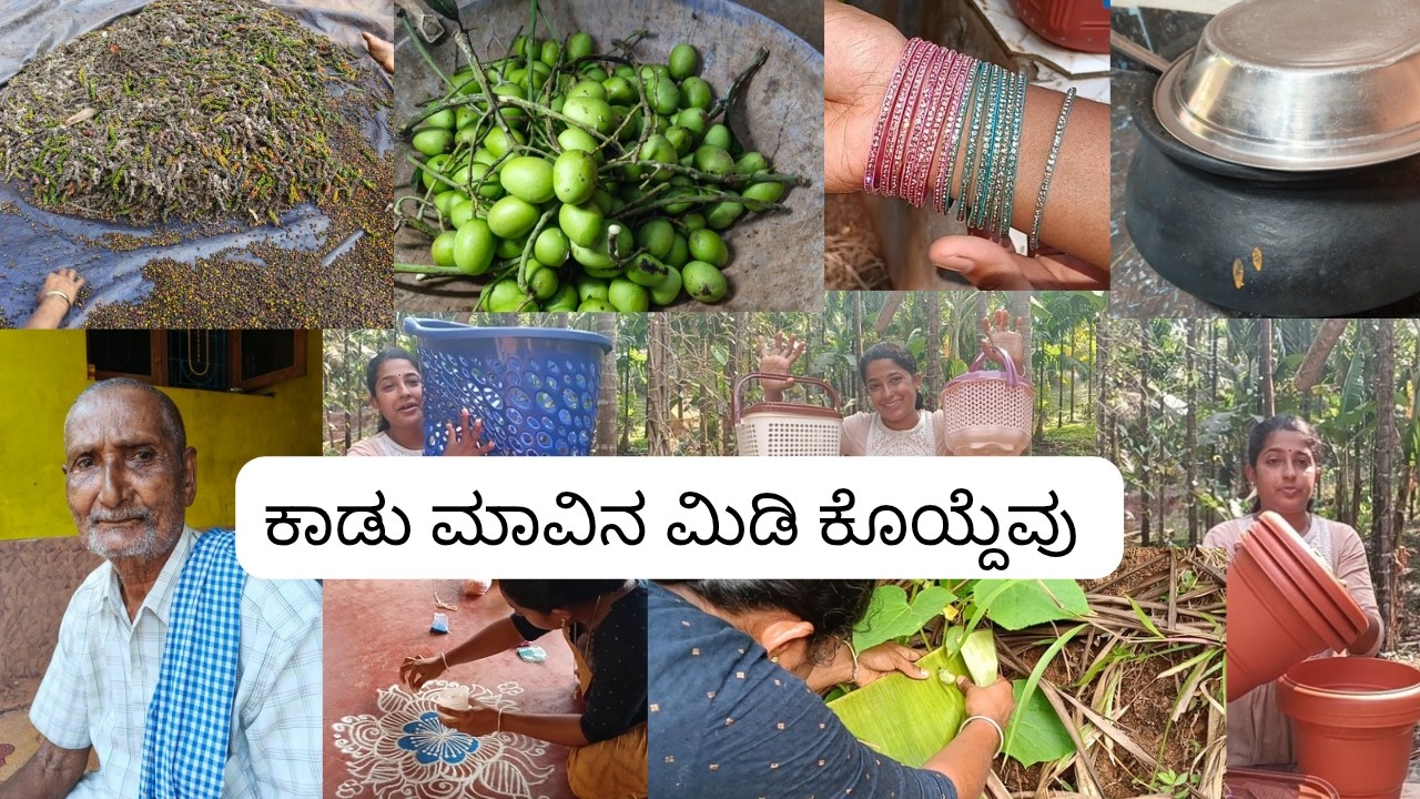 ಇವೆಲ್ಲವೂ 20 ರೂಪಾಯಿಗೆ ಸಿಕ್ಕಿತು