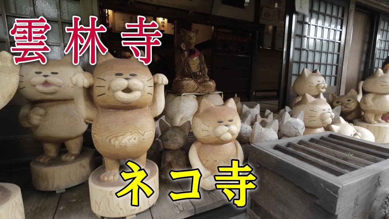 【ネコ寺】雲林寺に行って見ました