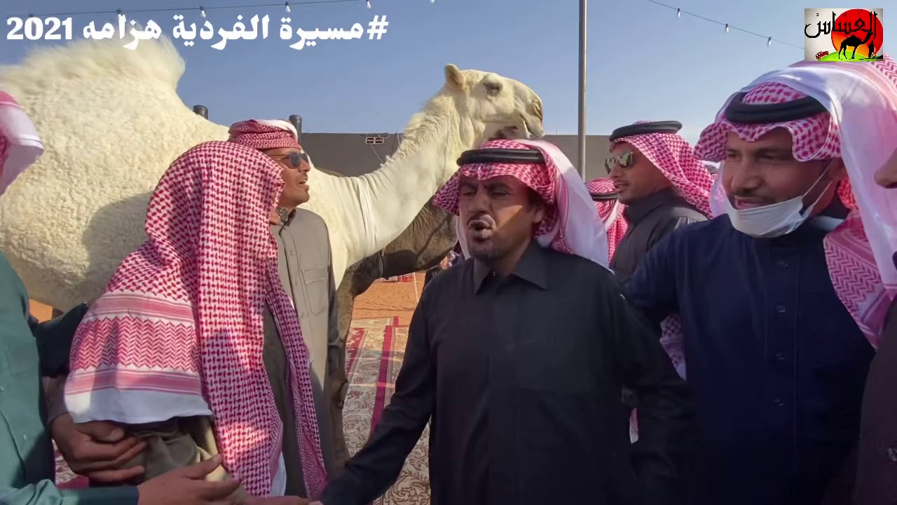 مسيرة الفردية هزامه لمالكها/ سحمي بن وقيان الهوامله الدوسري الحاصل على المركز الاول 1442/5/7