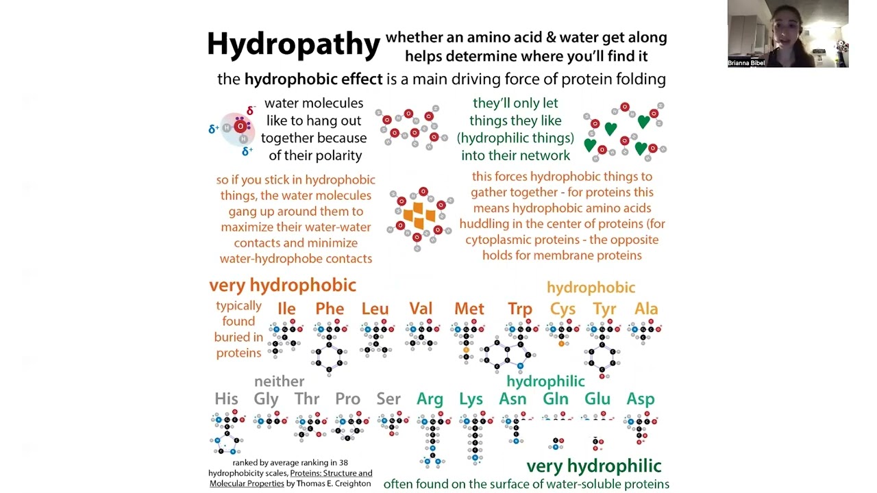 DMSO biochemistry