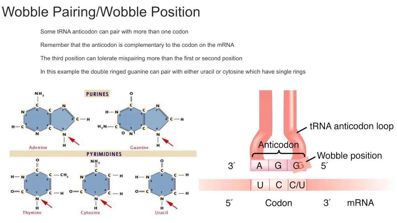Wobble Pairing