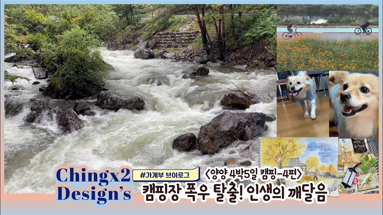 양양 4박5일 캠핑-4편:캠핑장 폭우 탈출! 인생의 깨달음/4인가족/중3,고1/자영업자 공인중개사 남편/웹디자이너 아내/칭칭디자인